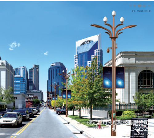 智慧路灯ZH2054 智慧路灯ZH2054